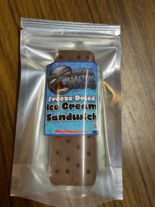Freeze Dried Mint Chocolate Chip Ice Cream Sandwich